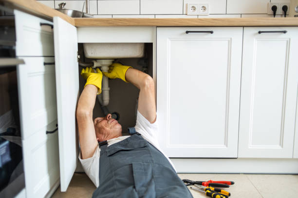 Best Plumbing Services Near Me  in Island City, OR